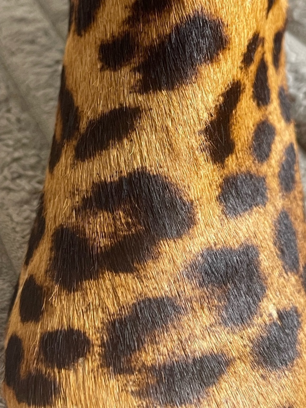 Talbots Leopard-Print Haircalf Ankle Booties in Brown & Black Size 5.5 - Picture 8 of 8